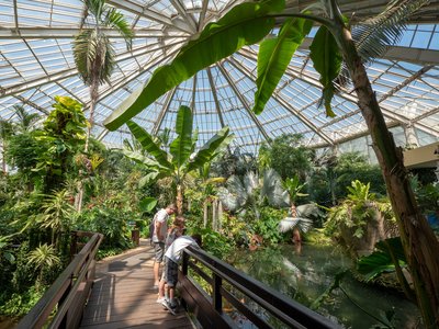 피닉스 공원 (Parc Phœnix)